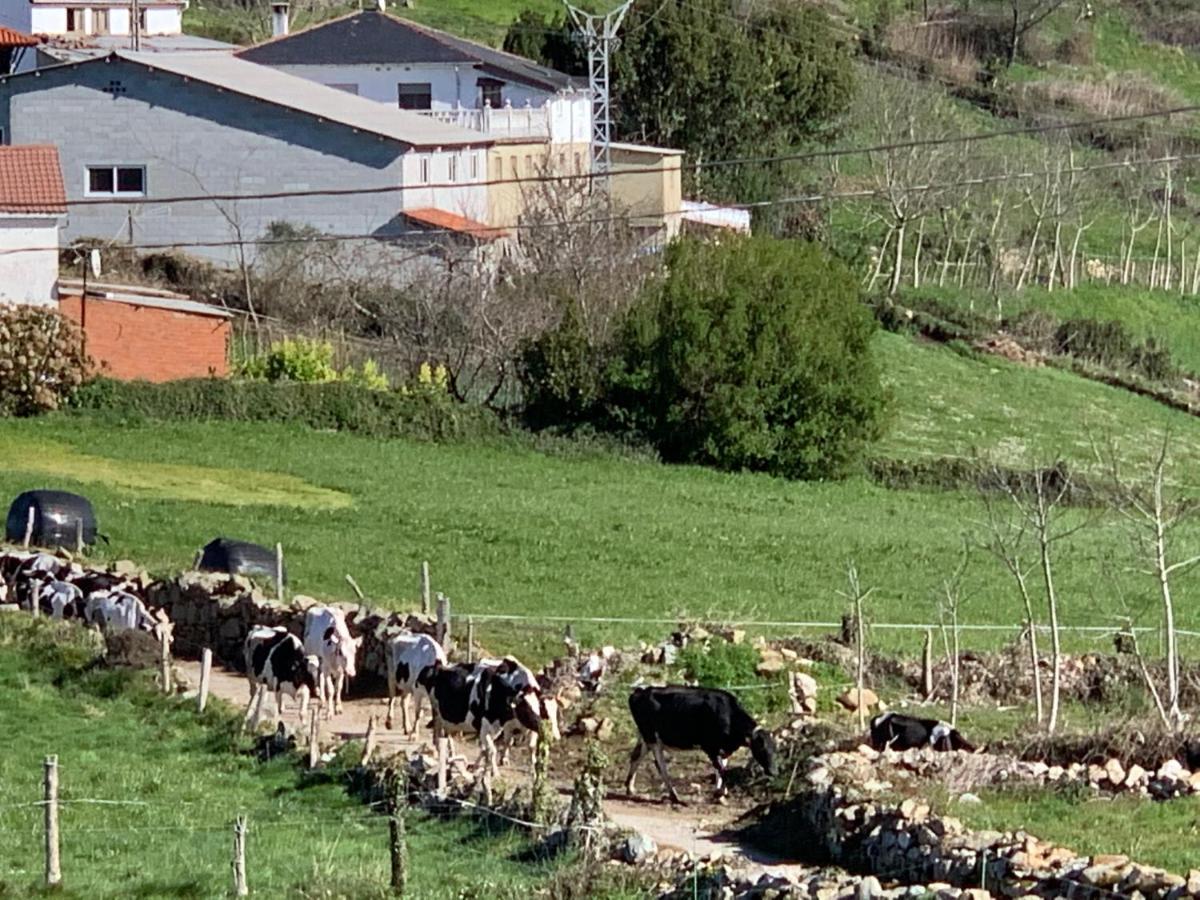 C'Genoveva Complejo Turistico Rural Caleacabo Villa Biescas  Luaran gambar